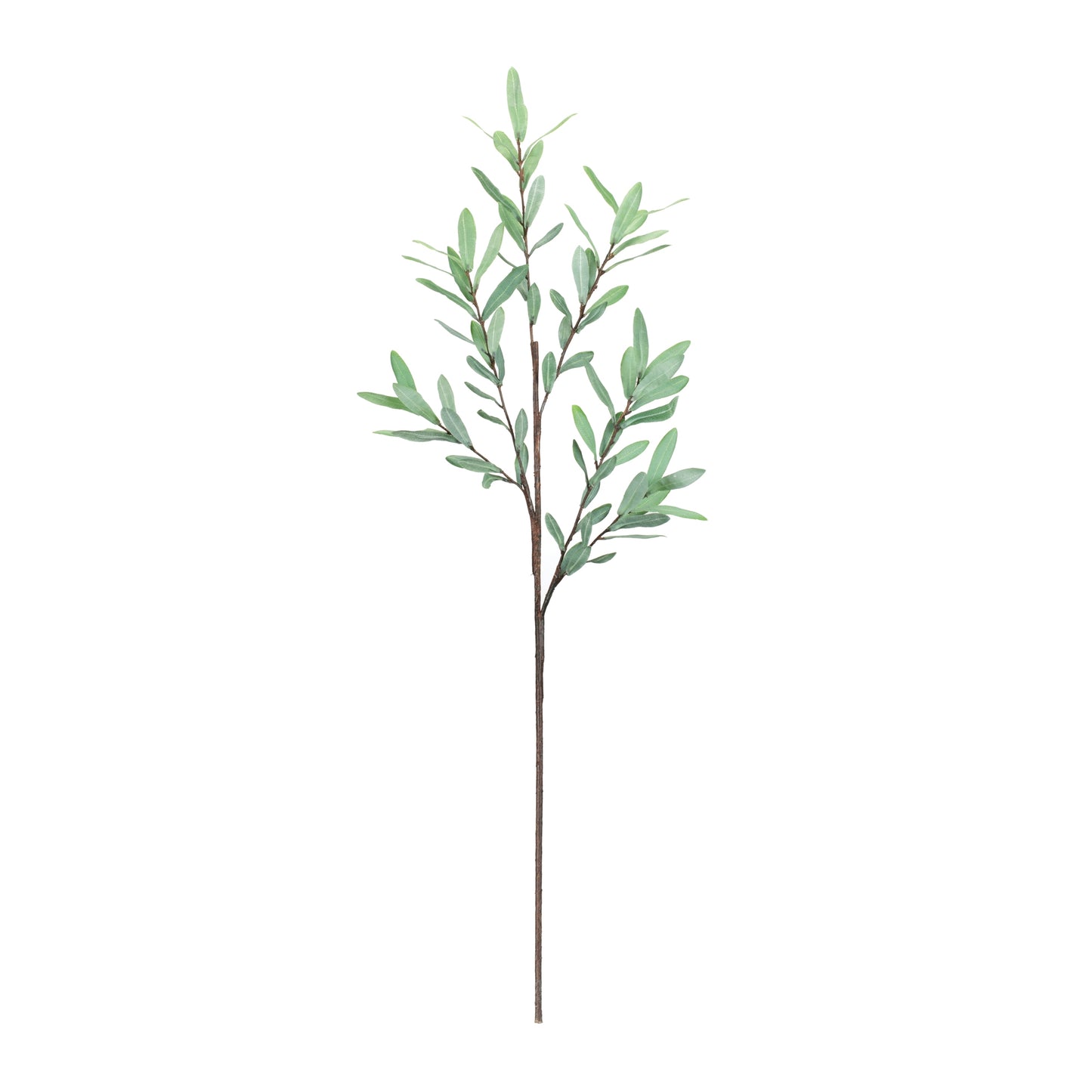 Olive Leaf Twig Branch (Set of 2) alternate view 2