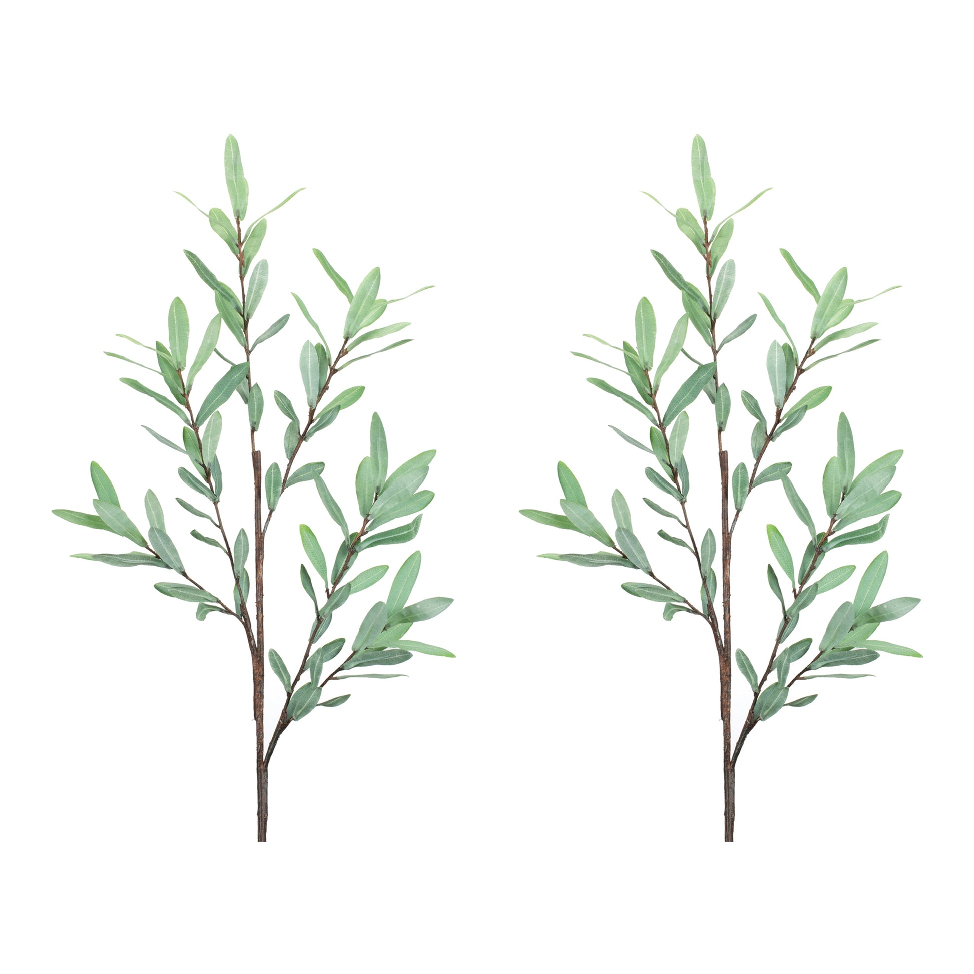 Olive Leaf Twig Branch (Set of 2) alternate view 3