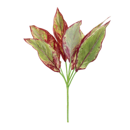Variegated Foliage Plant (Set of 6) alternate view 2