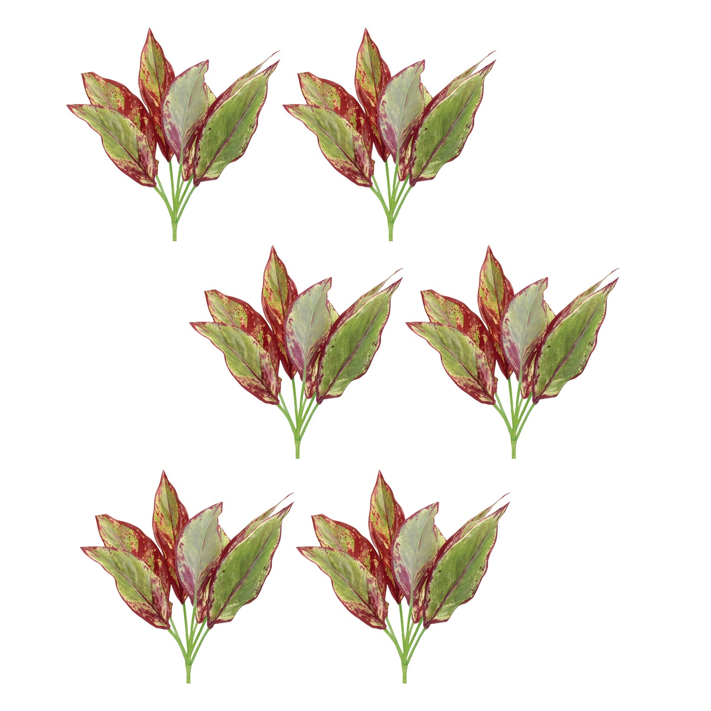 Variegated Foliage Plant (Set of 6) alternate view 3