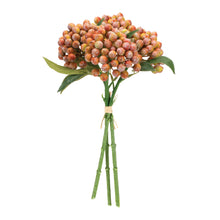 Orange Berry Bundle (Set of 2) alternate view 2