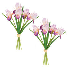 Purple Iris Floral Bundle (Set of 2) alternate view 2
