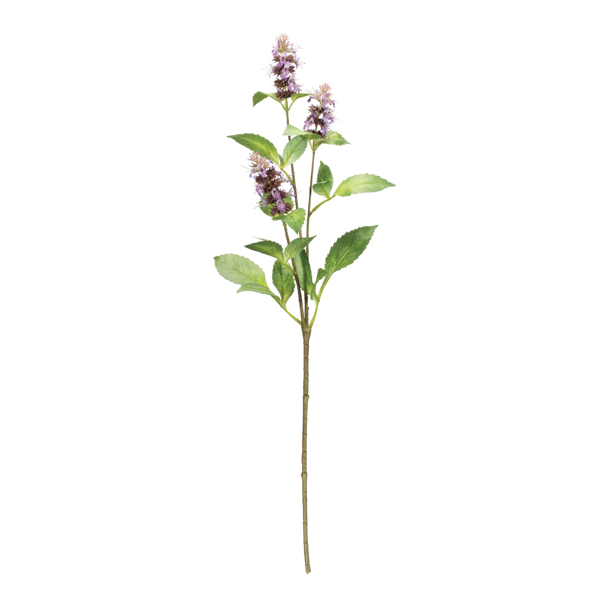 Buddleia Floral Stem (Set of 6) alternate view 2