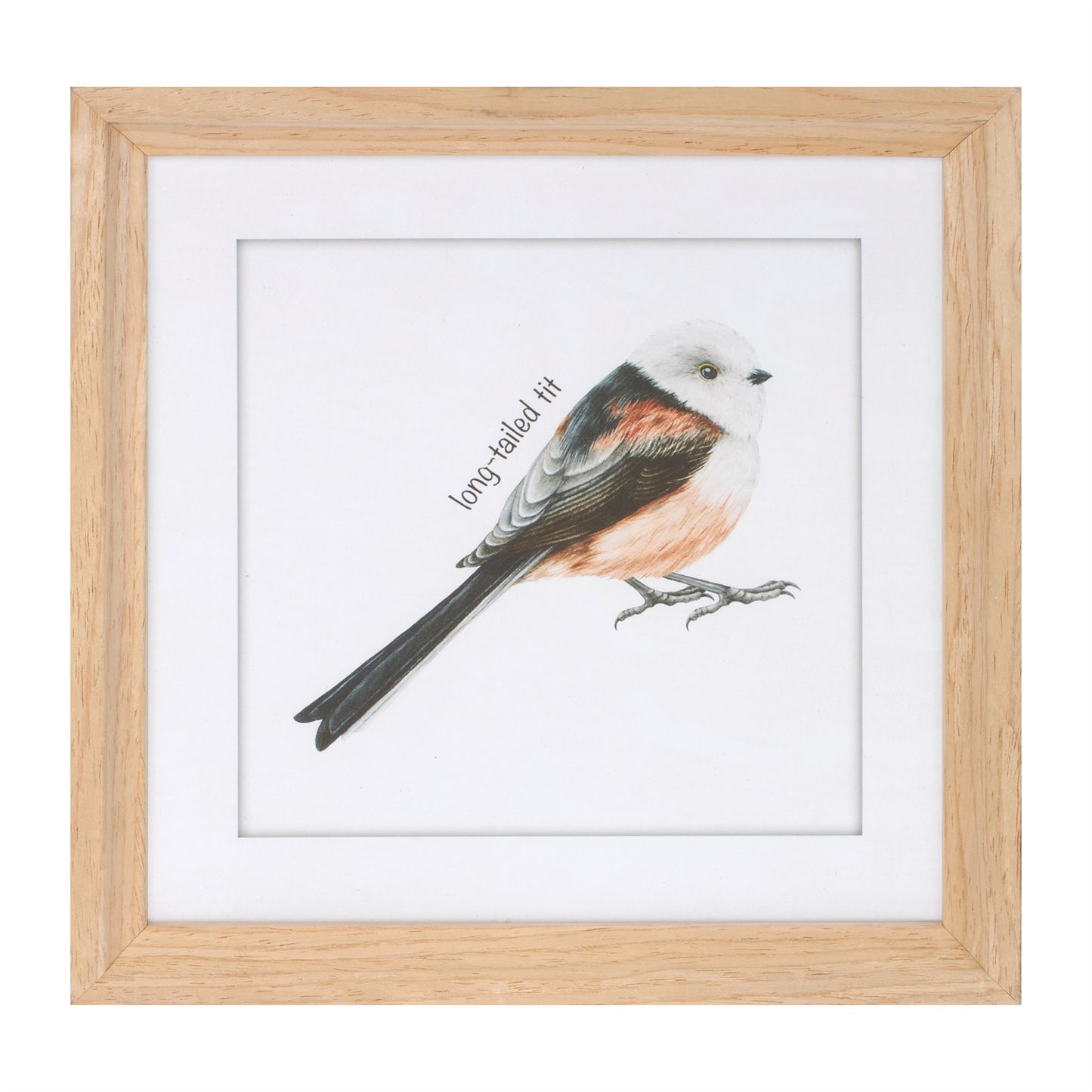 Framed Bird Print Under Glass (Set of 8) alternate view 2