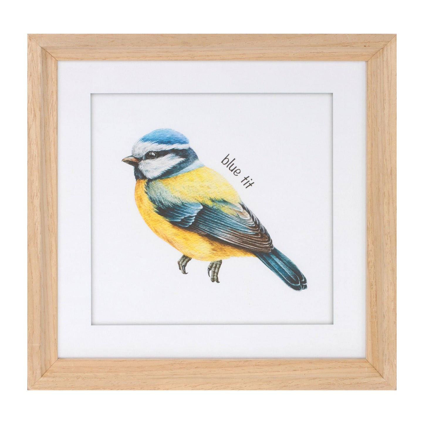 Framed Bird Print Under Glass (Set of 8) alternate view 3