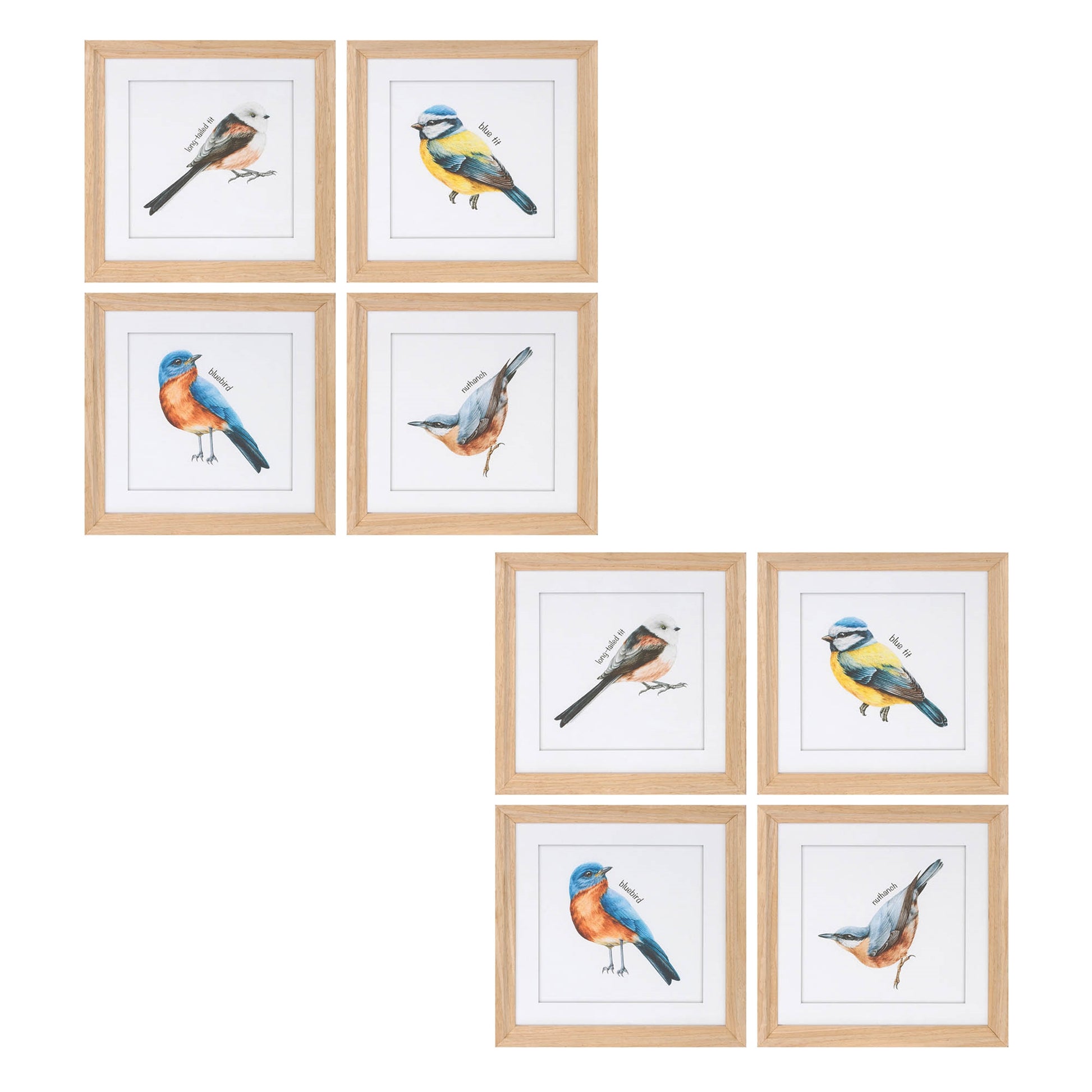 Framed Bird Print Under Glass (Set of 8) alternate view 6