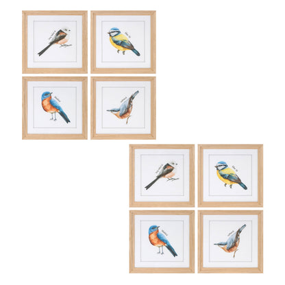 Framed Bird Print Under Glass (Set of 8) alternate view 6