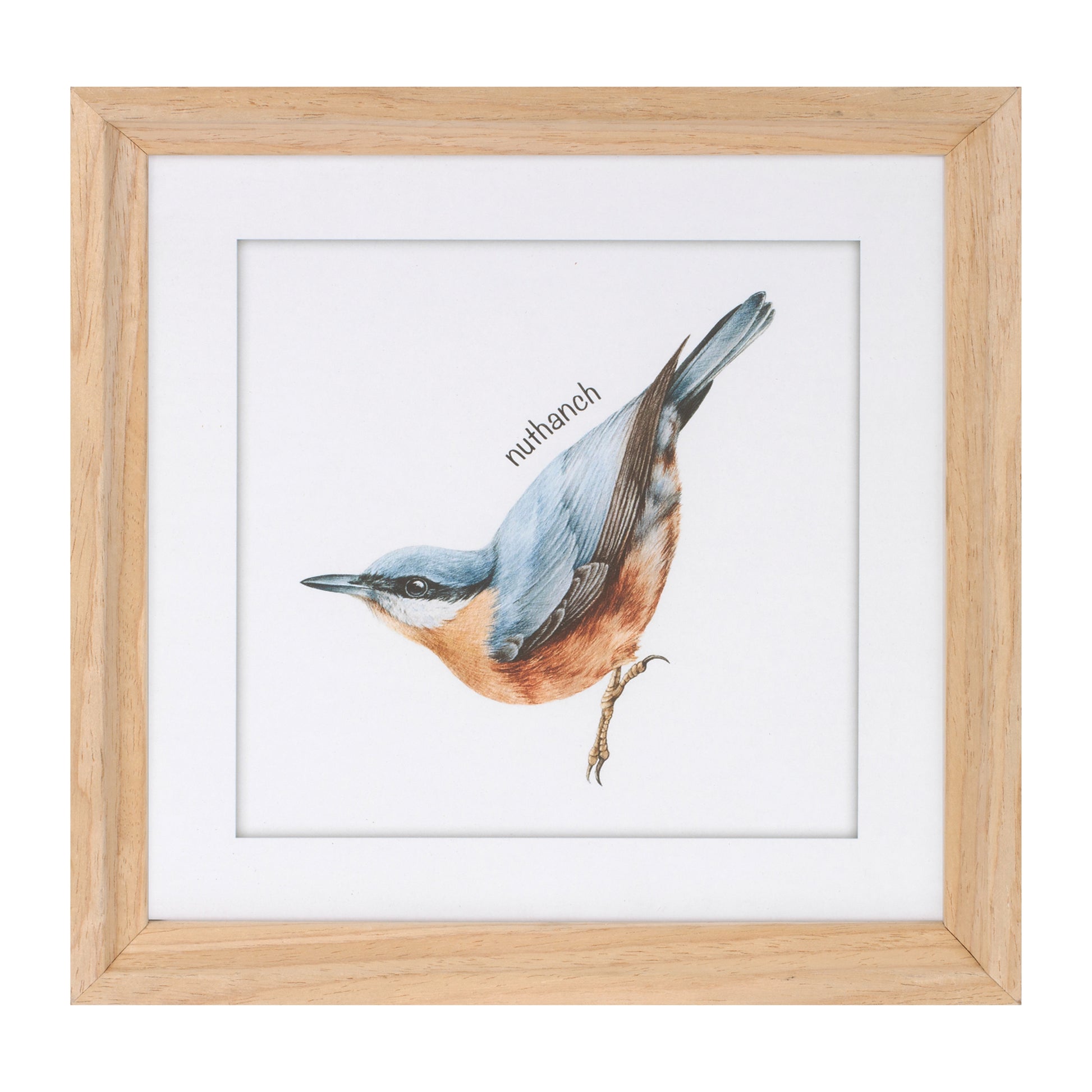 Framed Bird Print Under Glass (Set of 8) alternate view 5