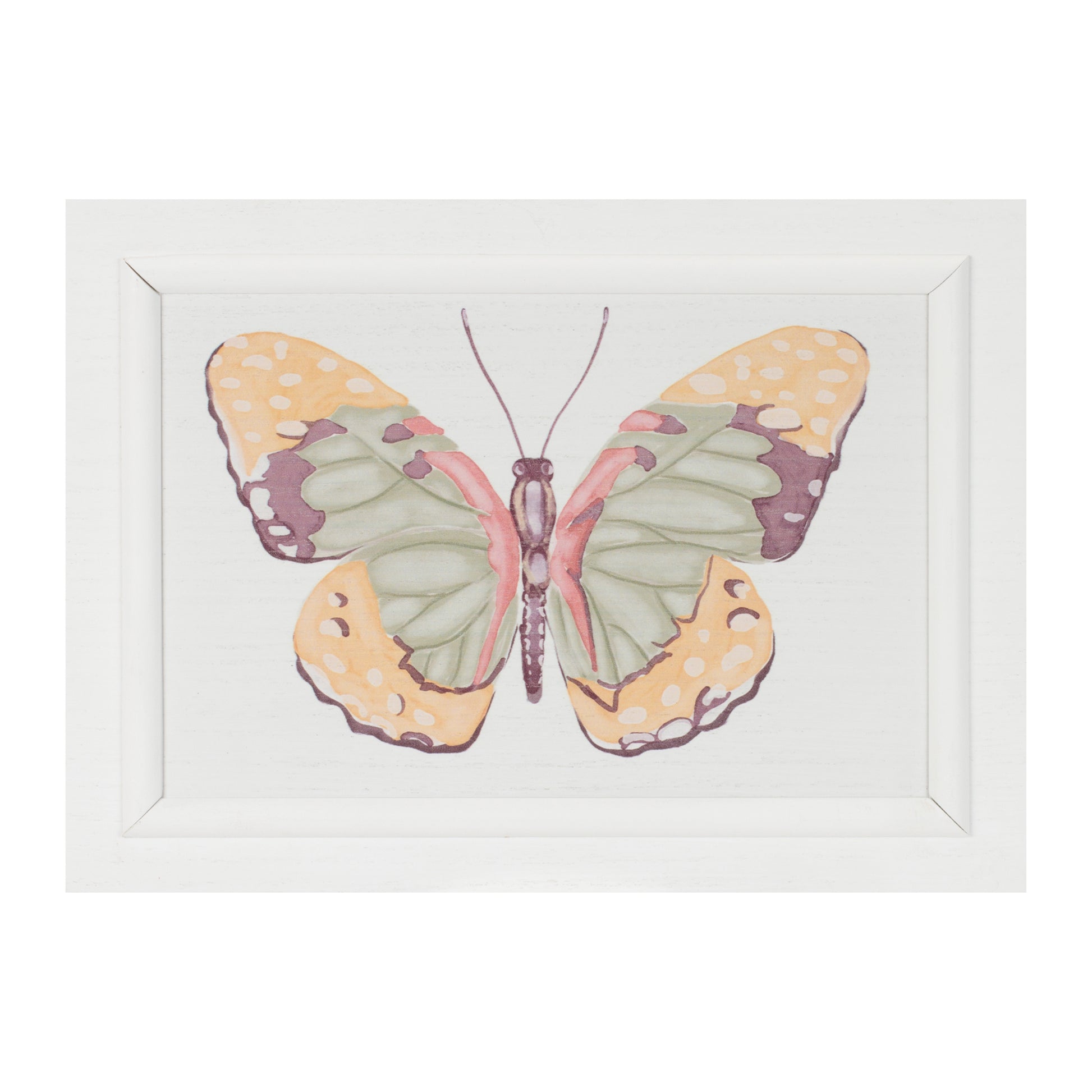 Framed Bird and Butterfly Wall Plaque (Set of 2) alternate view 3