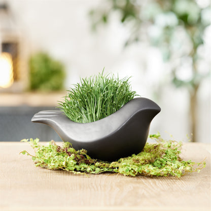 Set of 2 Black Ceramic Bird Containers alternate view 2