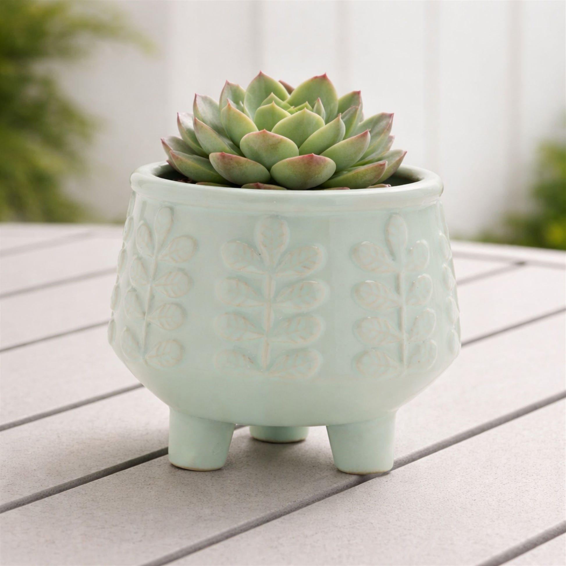 Footed Ceramic Leaf Pattern Planter (Set of 4) alternate view 2