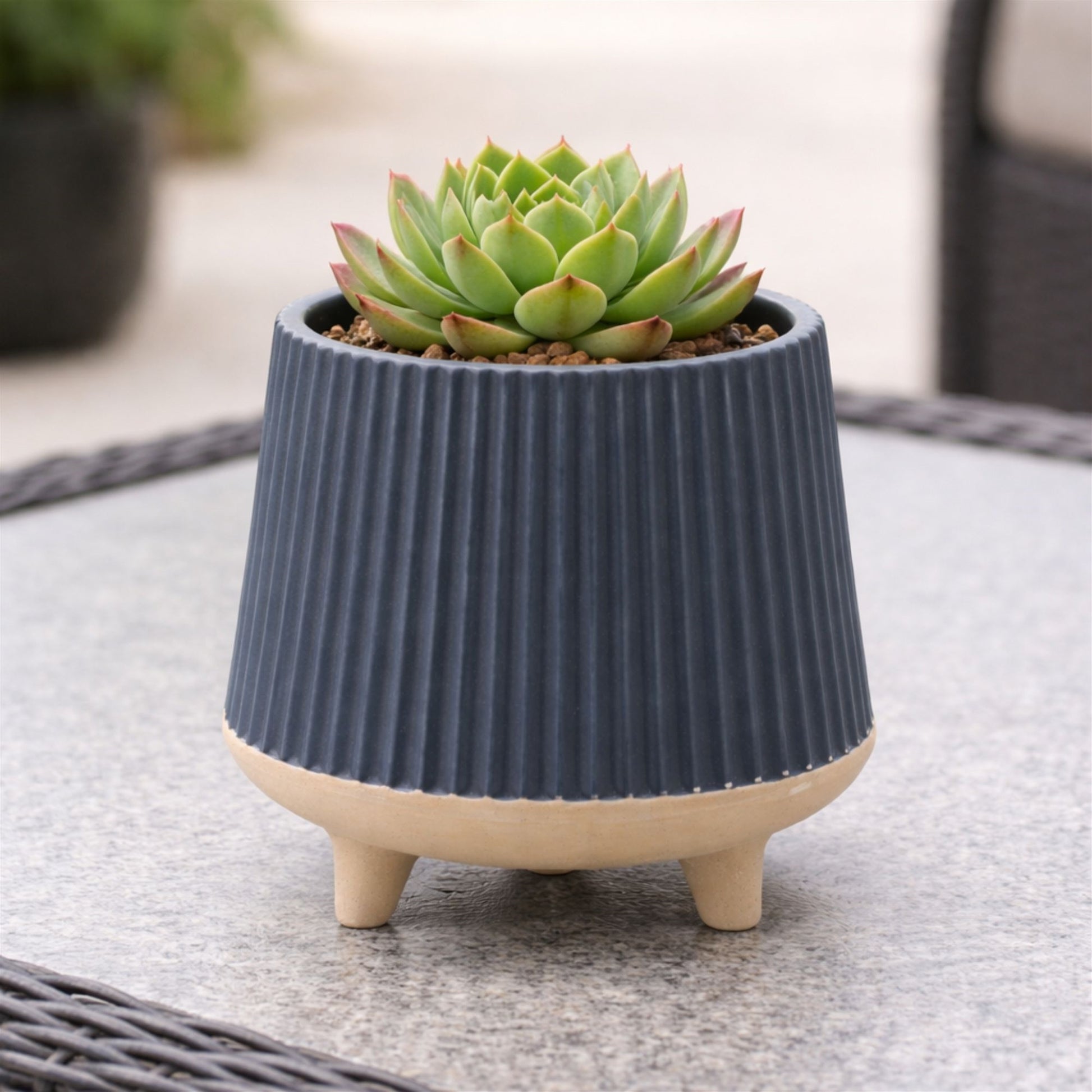 Ceramic Ribbed Footed Planter (Set of 2) alternate view 2