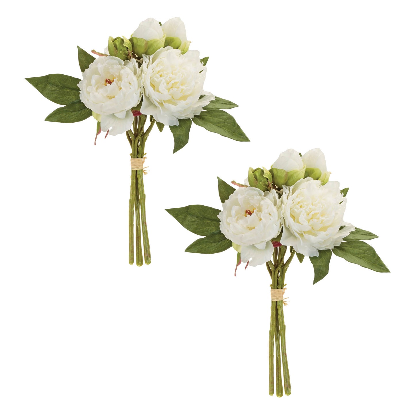 Peony Floral Bundle (Set of 2) alternate view 2