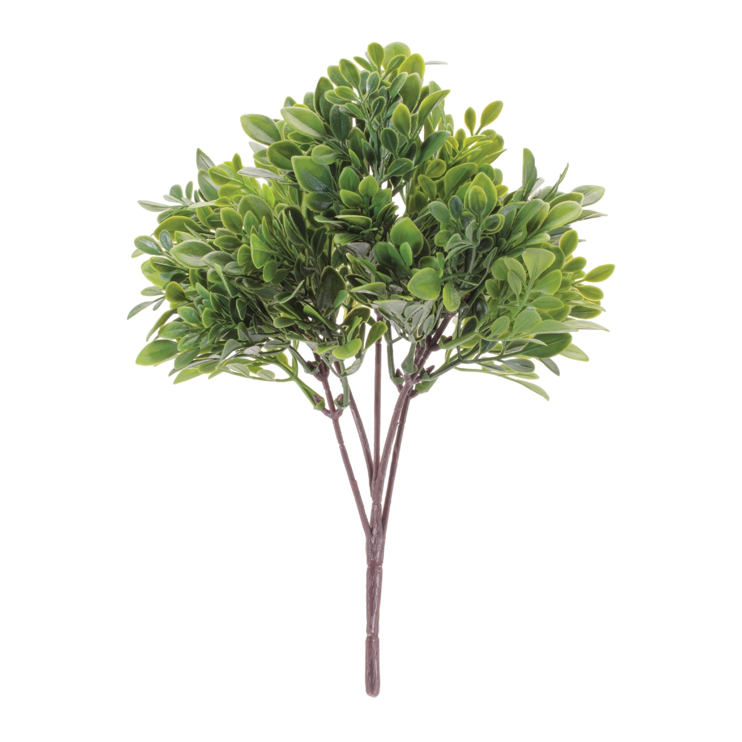 Boxwood Foliage Bush (Set of 6)