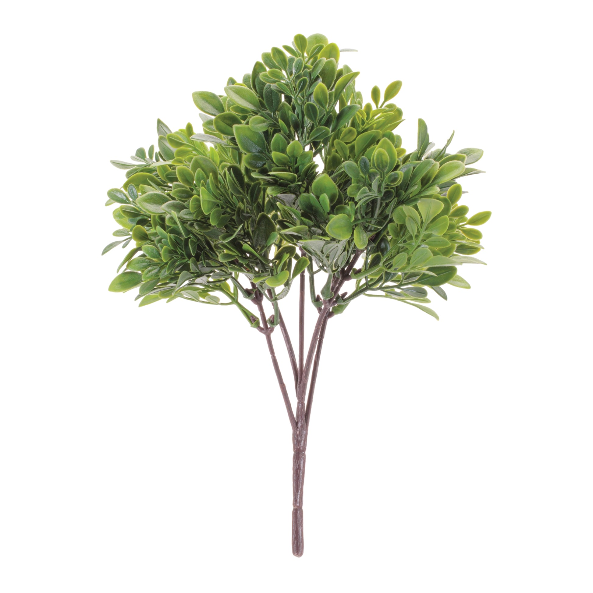 Boxwood Foliage Bush (Set of 6)