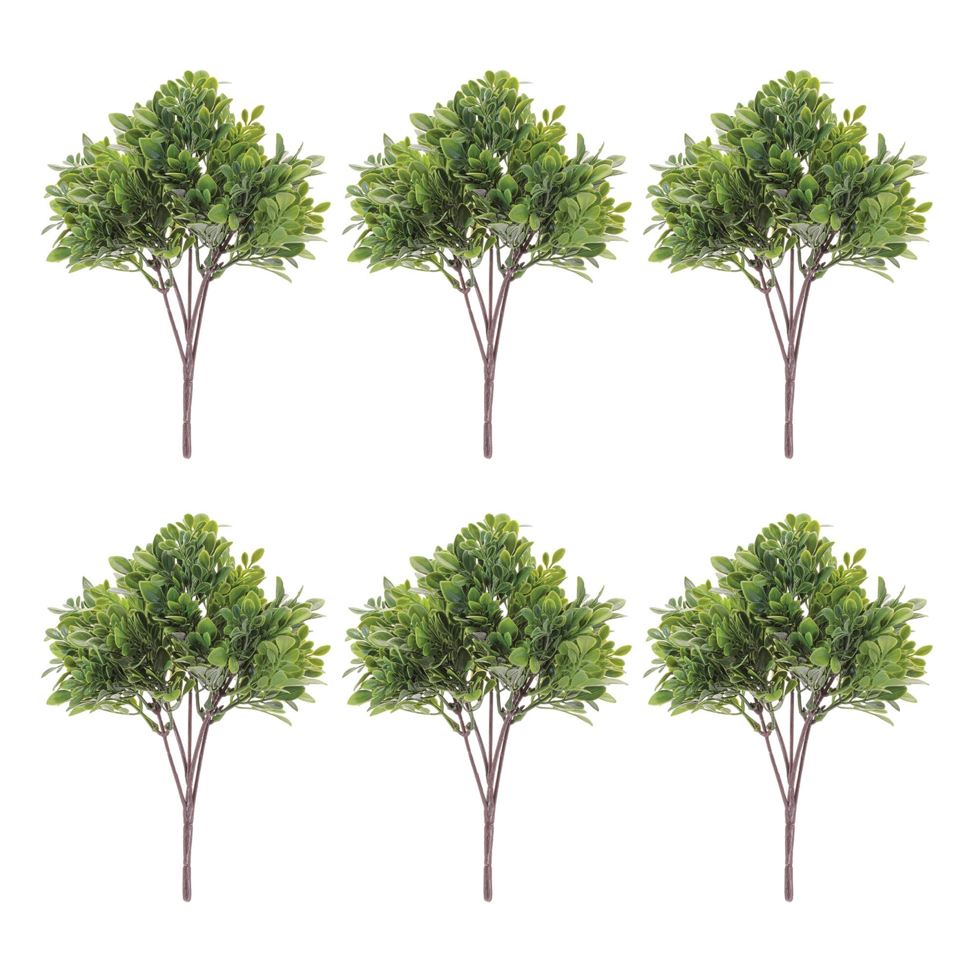 Boxwood Foliage Bush (Set of 6) alternate view 2