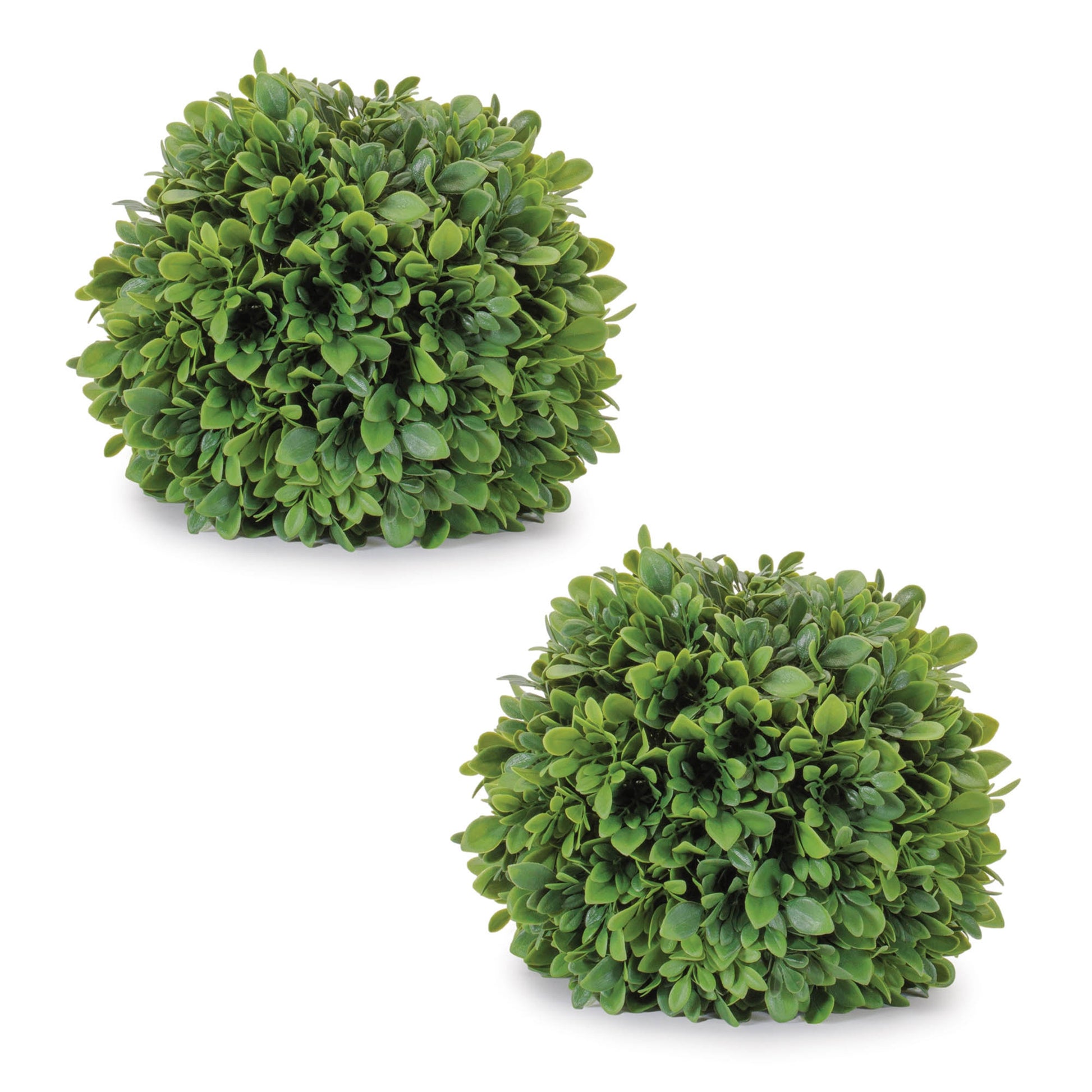 Boxwood Foliage Orb (Set of 2) alternate view 2