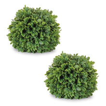 Boxwood Foliage Orb (Set of 2) alternate view 2