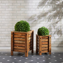 Boxwood Foliage Orb 13"D alternate view 2