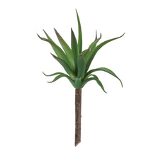 Succulent Plant Pick (Set of 6)