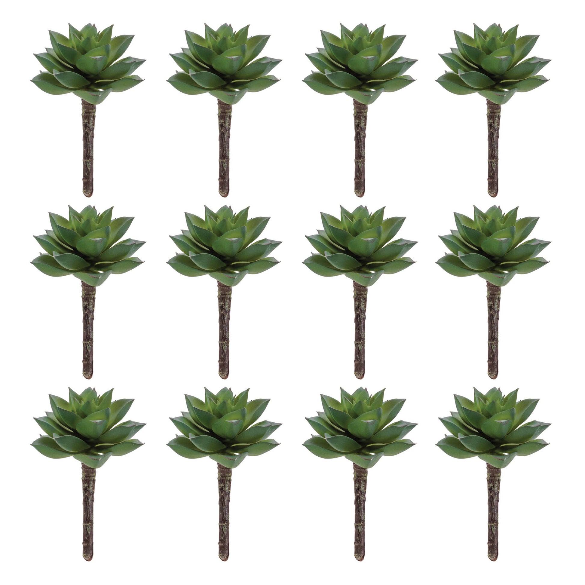 Succulent Plant Pick (Set of 12) alternate view 2