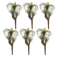 Air Plant Succulent Pick (Set of 6) alternate view 2