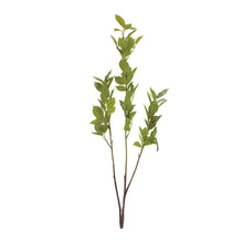 Leaf Foliage Branch (Set of 6)