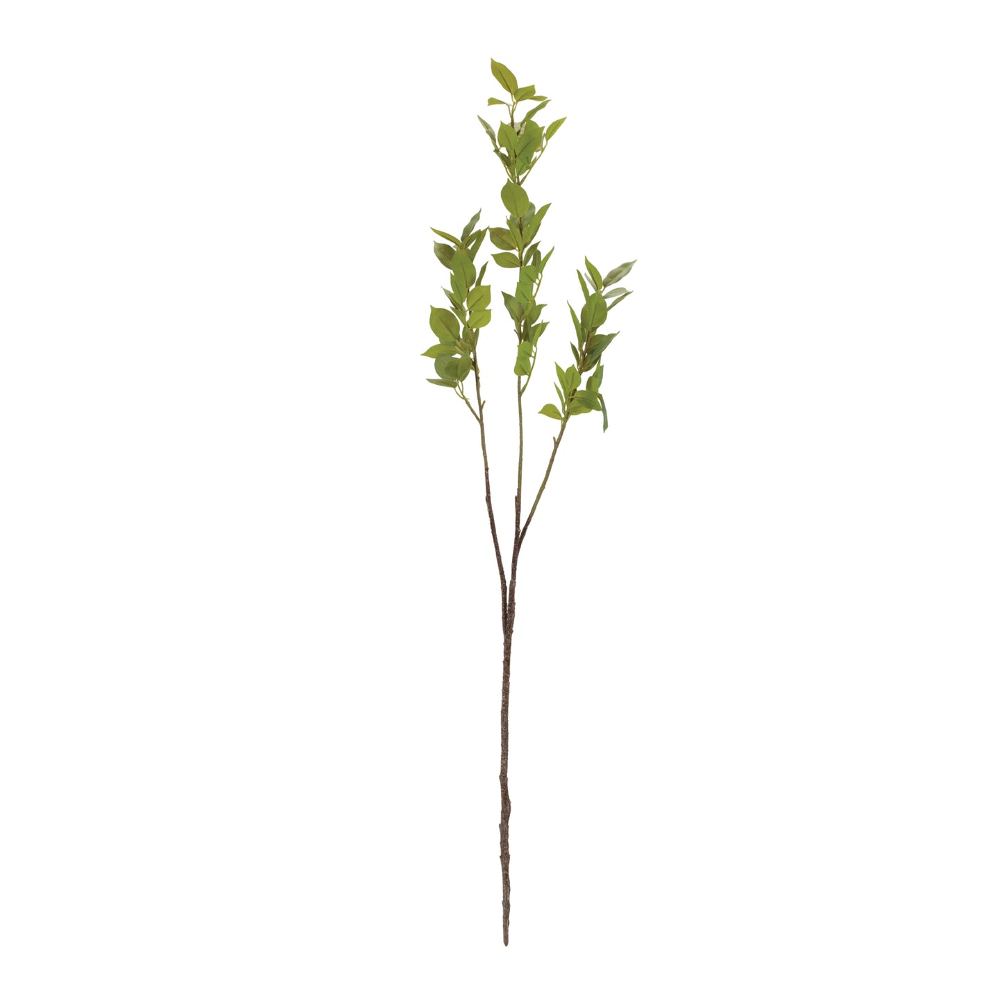 Leaf Foliage Branch (Set of 6) alternate view 2