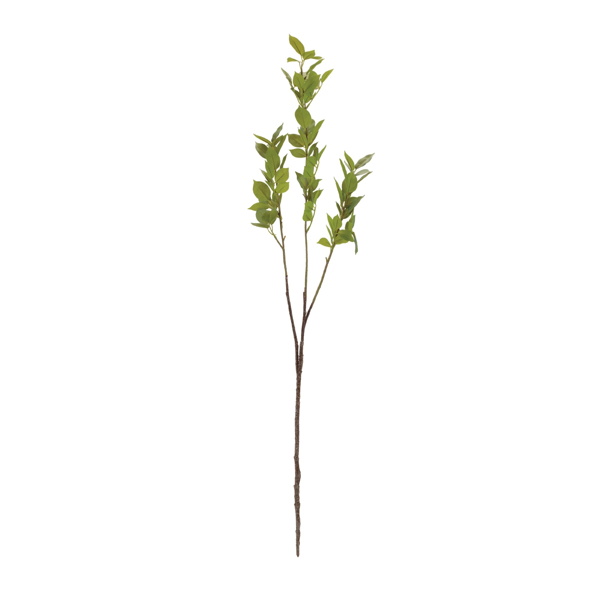 Leaf Foliage Branch (Set of 6) alternate view 2