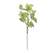 Anthurium Leaf Branch (Set of 4) alternate view 2