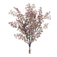 Mini Berry Spray Bundle (Set of 6)
