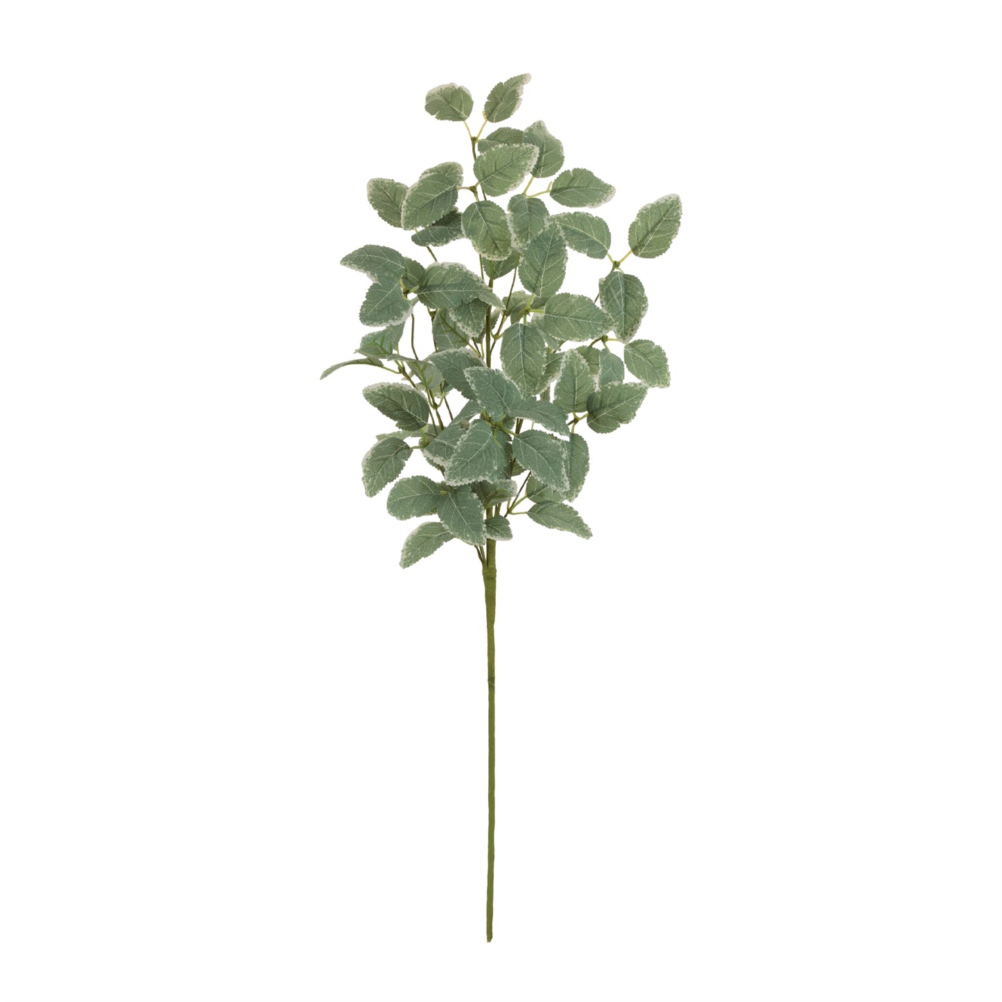 Variegated Foliage Spray (Set of 2) alternate view 2