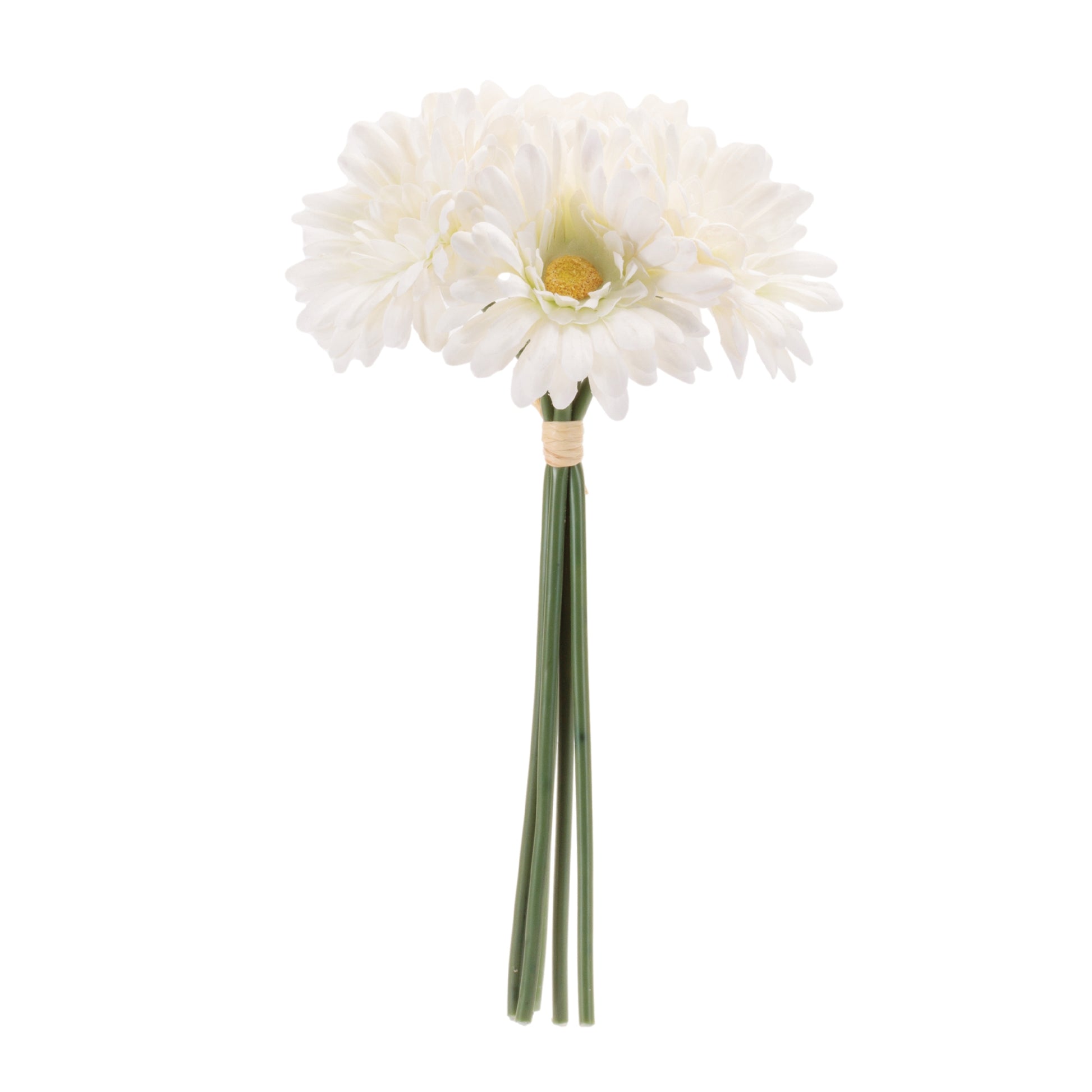 Gerbera Daisy Floral Bundle (Set of 6) alternate view 2