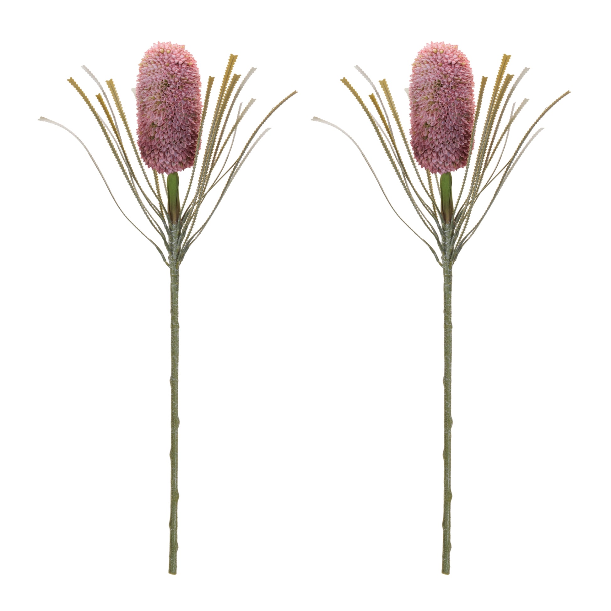 Protea Floral Stem (Set of 2) alternate view 2
