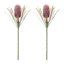 Protea Floral Stem (Set of 2) alternate view 2