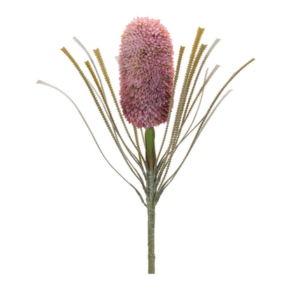 Protea Floral Stem (Set of 2) alternate view 3