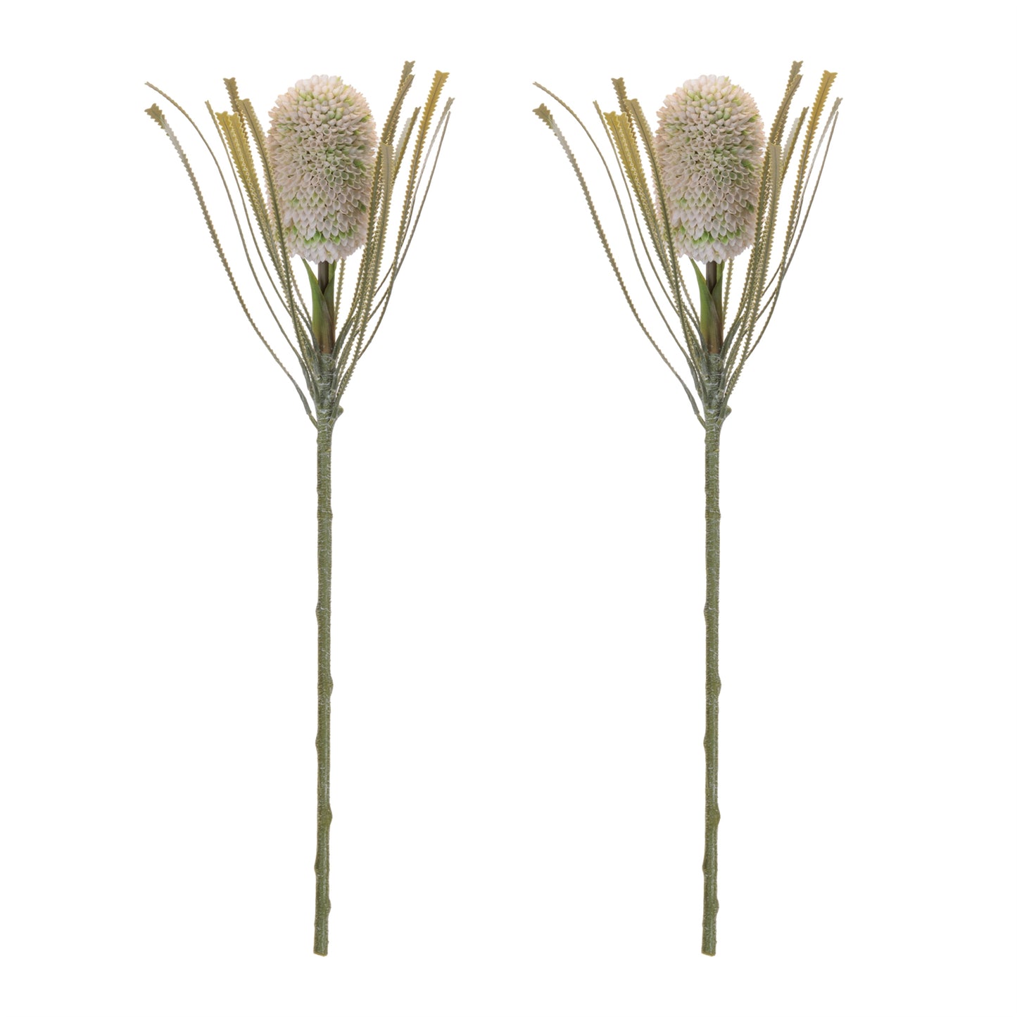 Protea Floral Stem (Set of 2) alternate view 2