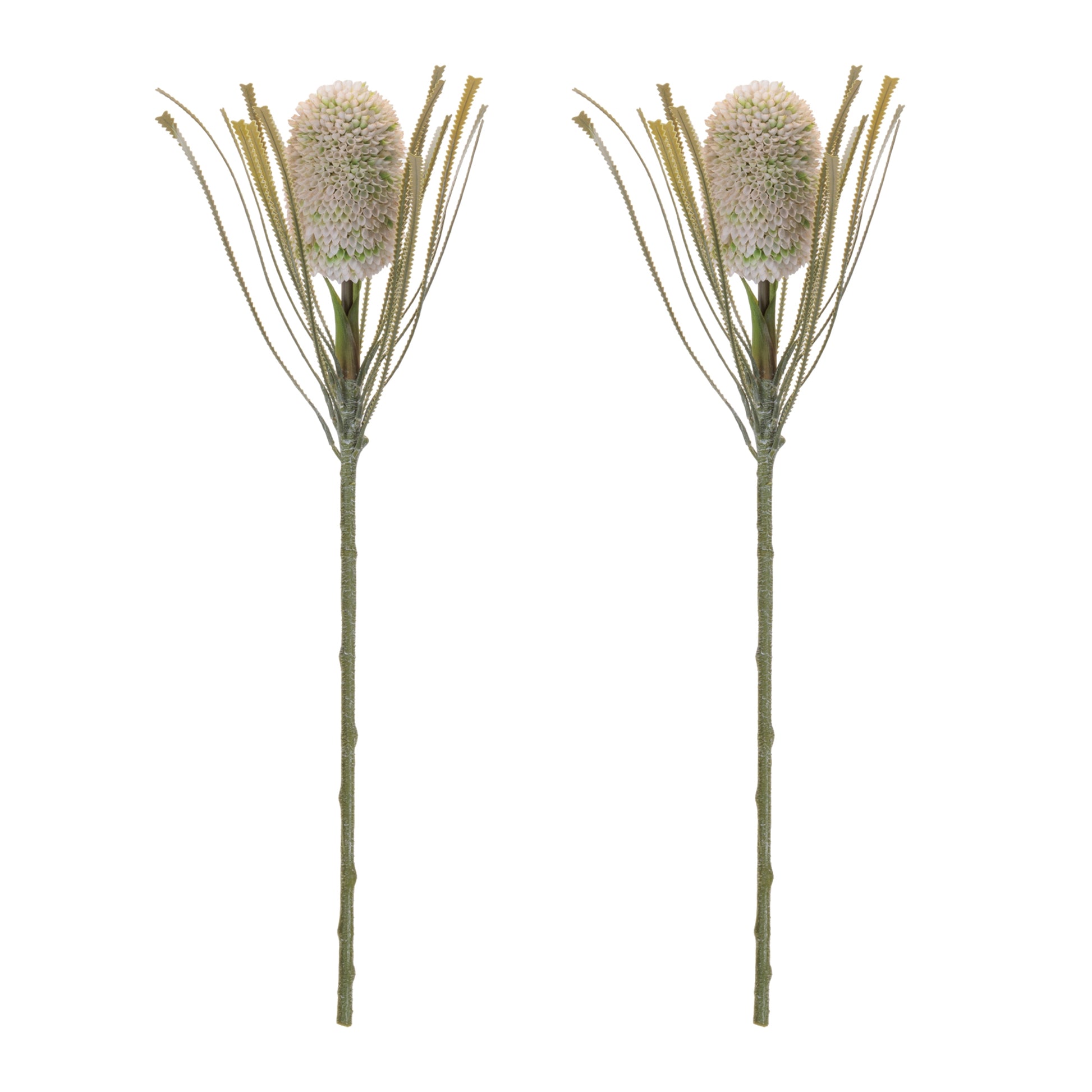 Protea Floral Stem (Set of 2) alternate view 2
