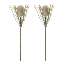 Protea Floral Stem (Set of 2) alternate view 2