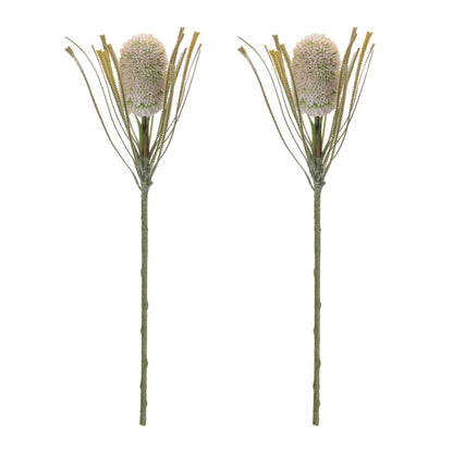 Protea Floral Stem (Set of 2) alternate view 2