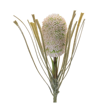 Protea Floral Stem (Set of 2) alternate view 3