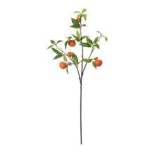 Orange Fruit Foliage Branch (Set of 6) alternate view 2