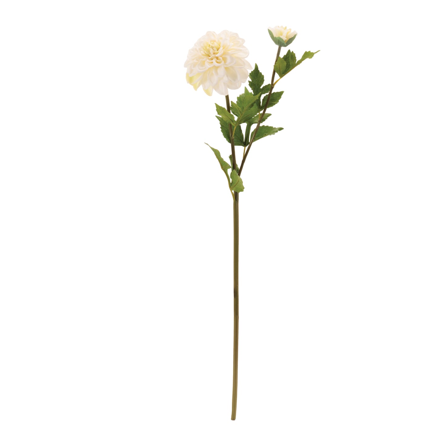 Dahlia Flower Stem (Set of 6) alternate view 2