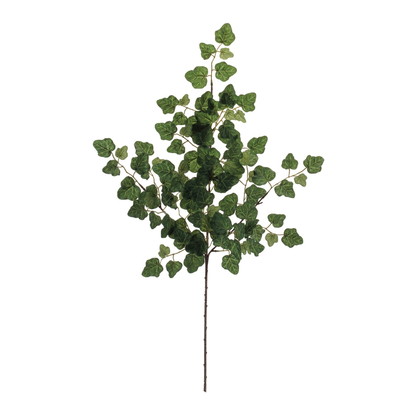 Ivy Foliage Spray (Set of 6) alternate view 2
