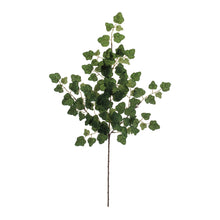 Ivy Foliage Spray (Set of 6) alternate view 2