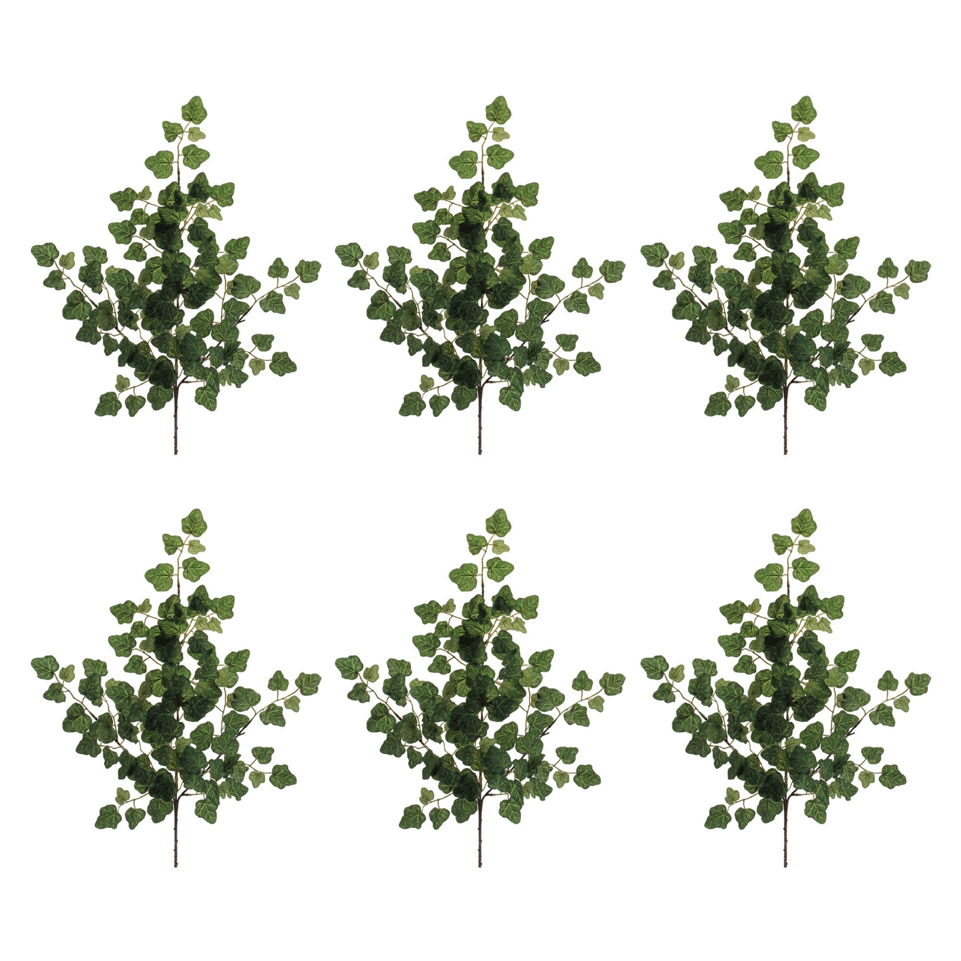 Ivy Foliage Spray (Set of 6) alternate view 3